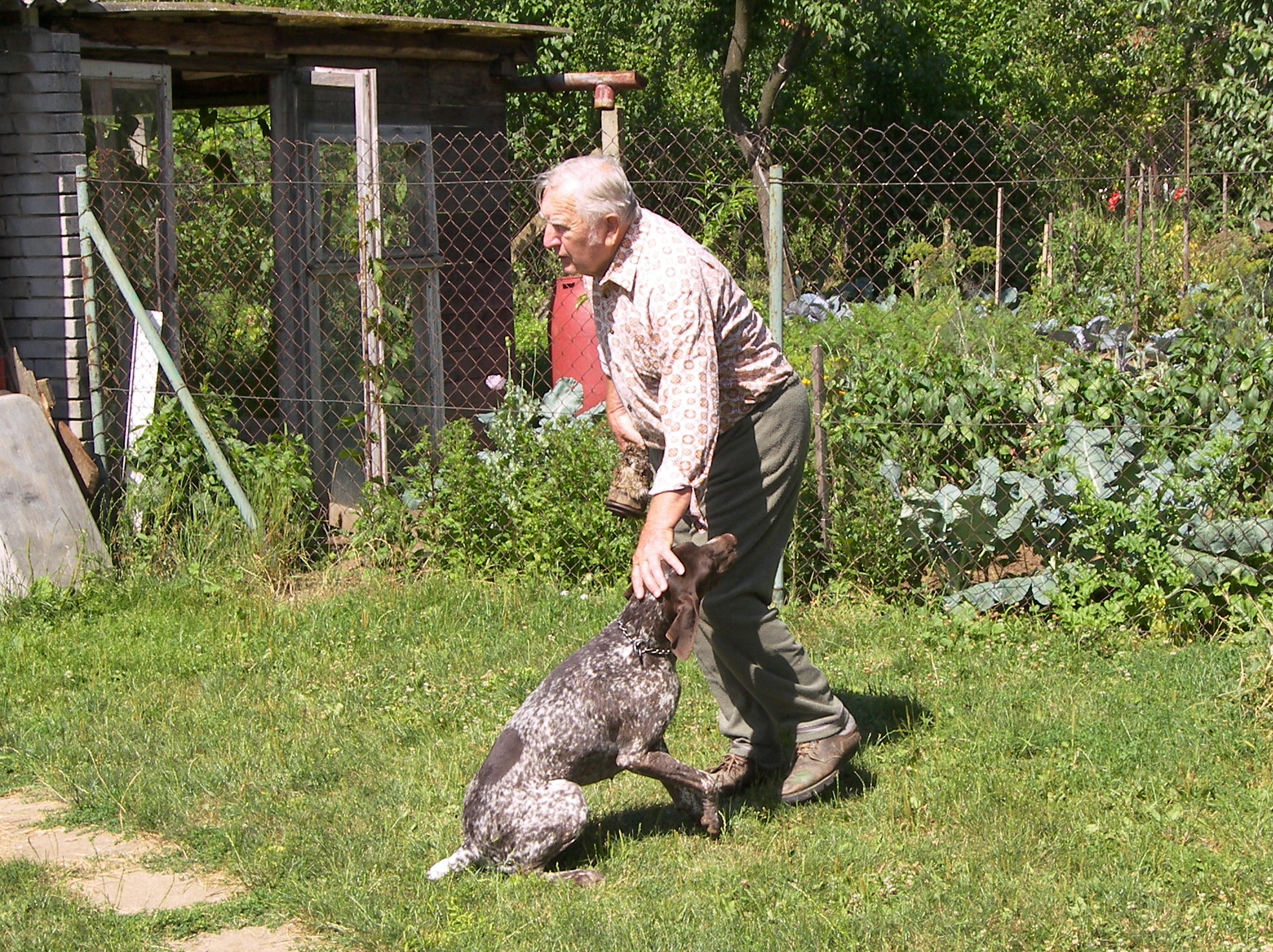 Vladimir Hasta